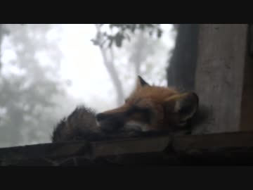 東北ツーリング行ってきたマン！前編