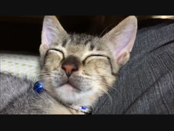 おねむなぼんちゃん＆おまけ。