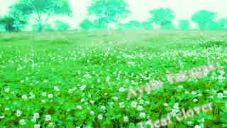 高垣彩陽「3 leaf clover」【ラジオ音源】