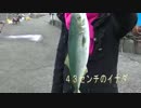 【釣り】大人の釣り具で魚釣り　in　沼津　