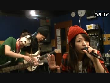 【ハルコア】バレリーコを演奏してみた【スタジオLIVE】