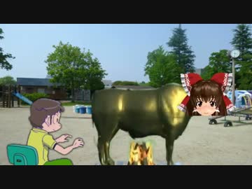 ファラリスのKNN