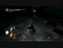 ダークソウル２　魔法使い使いたかったんだよ！パート１７