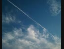 Wake Me Up When September Ends  歌っちゃいました　【C&C】