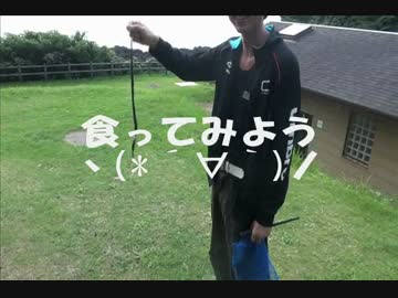 男二人旅キャンプ&amp;ちょっぴり自給自足　part③