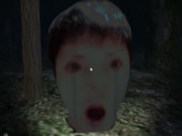 恐怖の森 散歩中振り返ると大変なことになる Part ニコニコ動画