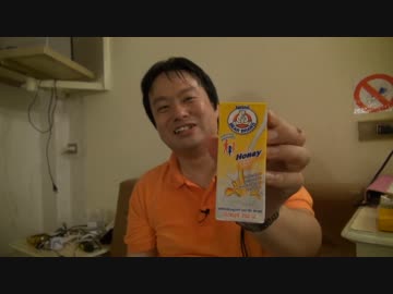 部長とカメラ　世界遺産完全制覇の旅　タイ王国編　第5-2話