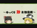 ～ゆっくり　珍　生物図鑑～　第5回　エボシダイ