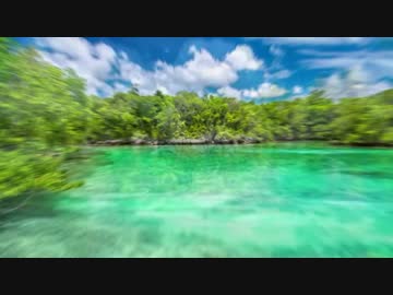 アド・サム・ミュージック・トゥ・ユア・デイ - Your Summer Dream