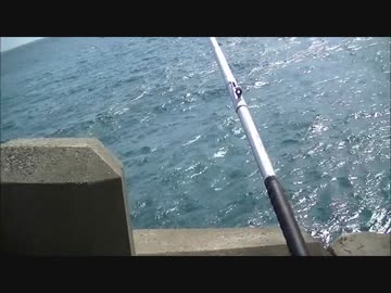 大島釣行台風中止～乙浜沖堤防