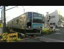 相模線が踏切を通過するだけ