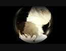 [MAD][A／Z]愛-same-CRIER