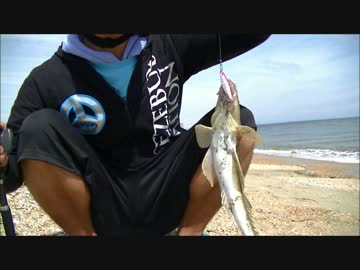 休日は魚釣りに出かけよう【マゴチヒットシーン】