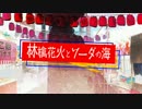 【20弾目に歌ってしまった】林檎花火とソーダの海【朔亜】