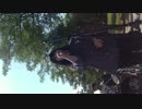 環境大学❌ビアフェスタ2014  9  27  SAT 土