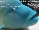 20140927-1 NER=ネル PCフリーズしたので、繋ぎ配信