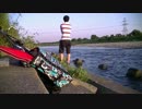 【やらかした】Doronuma Tripper【やらかし放題の夏だった】