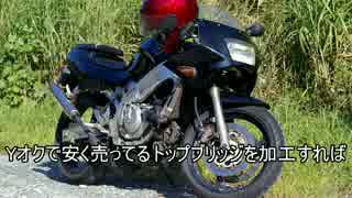 レプリカ嫌いがRGV250Γ買ってみた1.mp4