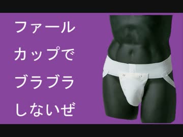 【ポケモンＸＹ】カイリキイズム【ノーブラ杯予選Ｃ組①】ＶＳとるそん