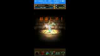 【パズドラ】魔法使い＆忍者VS俺【レアガチャ】