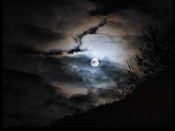 【NNIオリジナル】midnight【安海ひつじ】