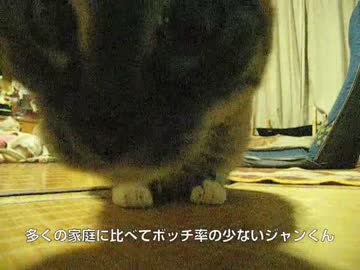 大人になった？ジャンくんの留守番が変わった