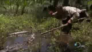 Man vs Wild S05E02 - The Deep South(1)