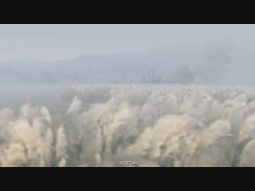 関ヶ原ステージBGM　【戦国大戦】