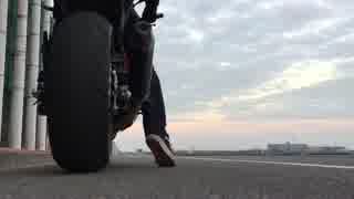 Kawasaki Z800 lciカーボンマフラー(バッフル有)