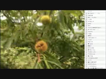 14.10.01 永井先生 焼山寺への旅#5日目part2