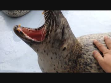 道北プチ冒険ツーリング Part 2 '14/8/10~17