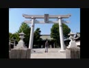 2014年05月07日 ちょっと変わったお寺と足立区周辺散歩 - 氷川神社