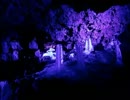 【FF11】Heavens Tower《100分間耐久》