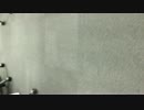 test.mov