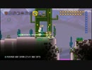 【テラリア】だらしない我々が協力プレイするやーつ2nd 030