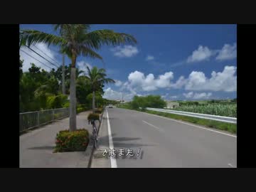 【自転車】2014年石垣島・西表島ツーリング【写真・動画】part5