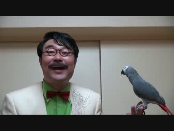 天才インコ　加藤君