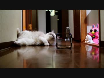 ぜったいカメラで撮影されてるのしってるでしょ