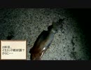 釣りに行こう3