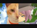 久々デトックス！