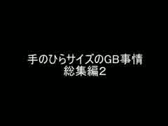 【バグ実況】手のひらサイズのGB事情　総集編２