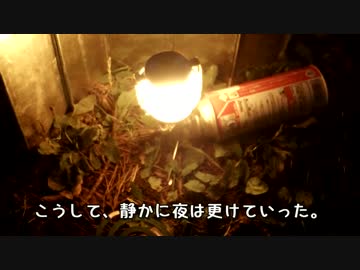 CBバイク旅-普通で素のキャンプツーリング　福島キャンプ編-【外伝】