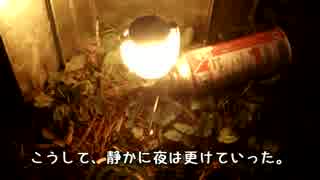 CBバイク旅-普通で素のキャンプツーリング　福島キャンプ編-【外伝】