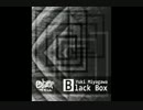Yuki Miyagawa / Black Box