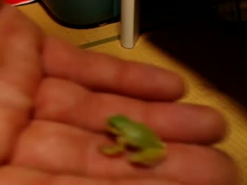 【'14.09.01-3　その４】永井先生　【コメ無し】