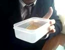 【ポーション】トンカチ動画（RC2）【ご飯】～番外編～