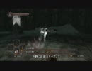 ダークソウル２ レベル１でボス戦-14(玉座の守護者，監視者)