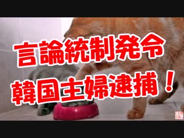 【言論統制発令】 韓国主婦逮捕！