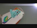 RD.mp4