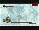 ダークソウル2を初見実況プレイしてみた白王の冠編【Part6】